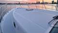 Island Gypsy 480