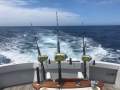 Hatteras 60 Convertible Sport