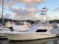 Hatteras 60 Convertible Sport