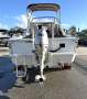 Quintrex 500 Sea Wasp FOUR STROKE PLUS FRONT V BERTH