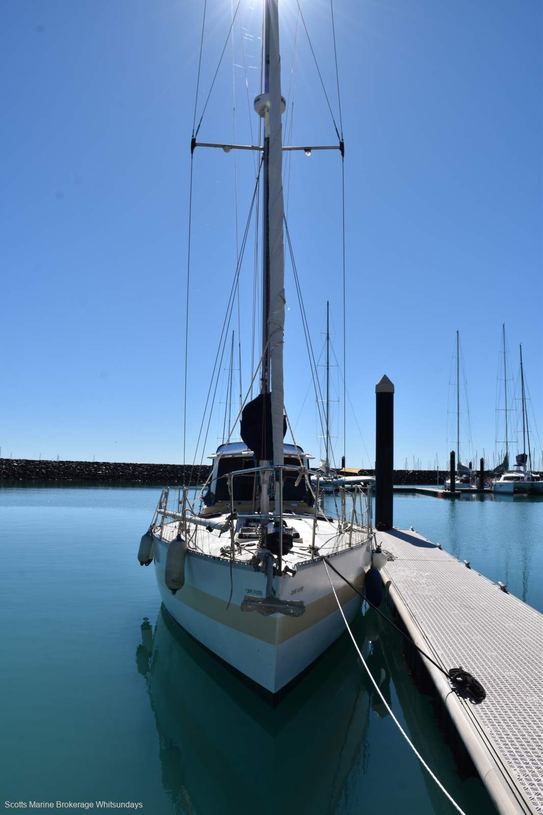 Adams Naut 40