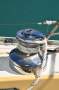 Adams Naut 40