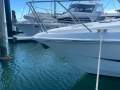 Sealine S48 Sport Yacht