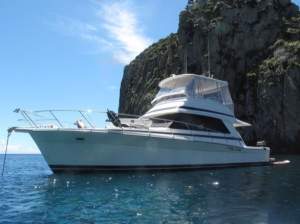 Riviera 43 Flybridge