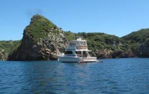 Riviera 43 Flybridge