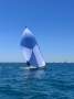 Reichel Pugh Seaquest RP36