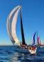 Reichel Pugh Seaquest RP36
