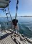 Contest Yachts 43