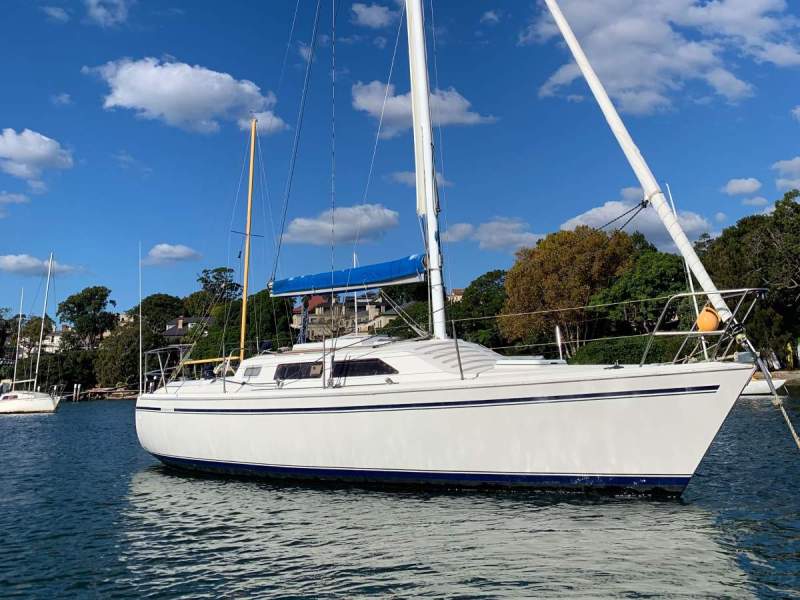 Northshore 31 Excellent Condition