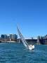 Northshore 31 Excellent Condition:Sailing Sydney harbour