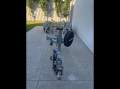 2011 Dunbier Twin Axle Super-Roller Boat Trailer 5.7