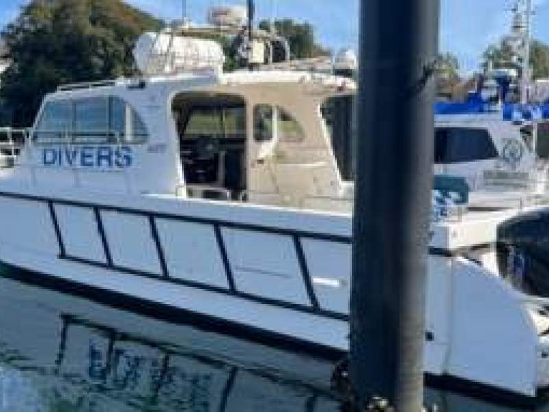 Leisurecat 350 Deepwater