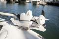 Sea Fox 248 Commander