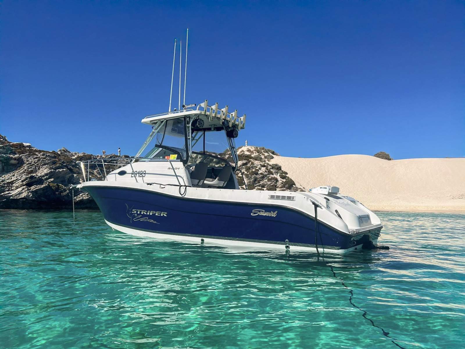 Seaswirl Striper 2601 WA *with Trailer & New MerCruiser*