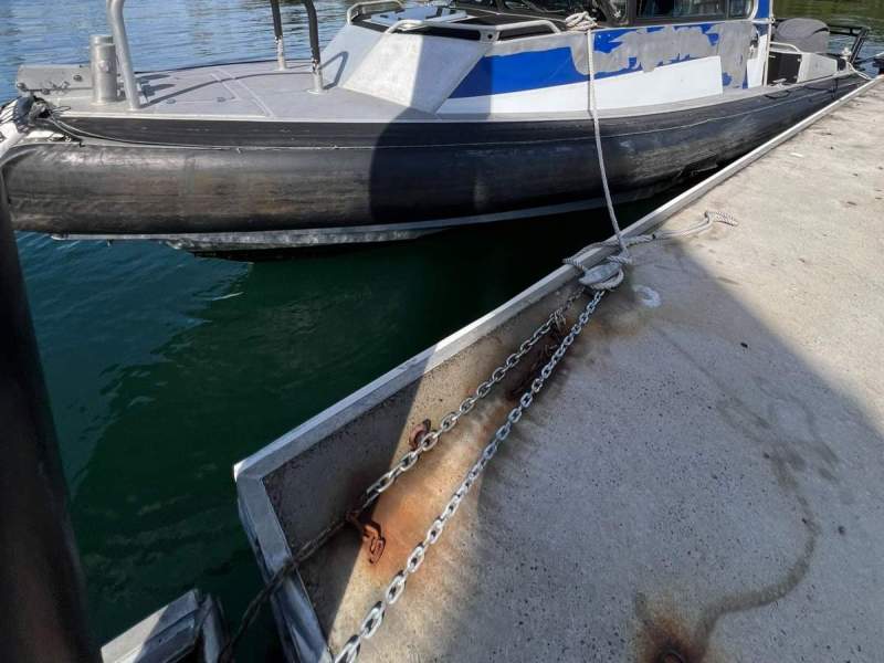 Naiad 9.5 M Commercial