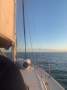 Catalina 34 MK II:Sydney to Hobart cruising 26