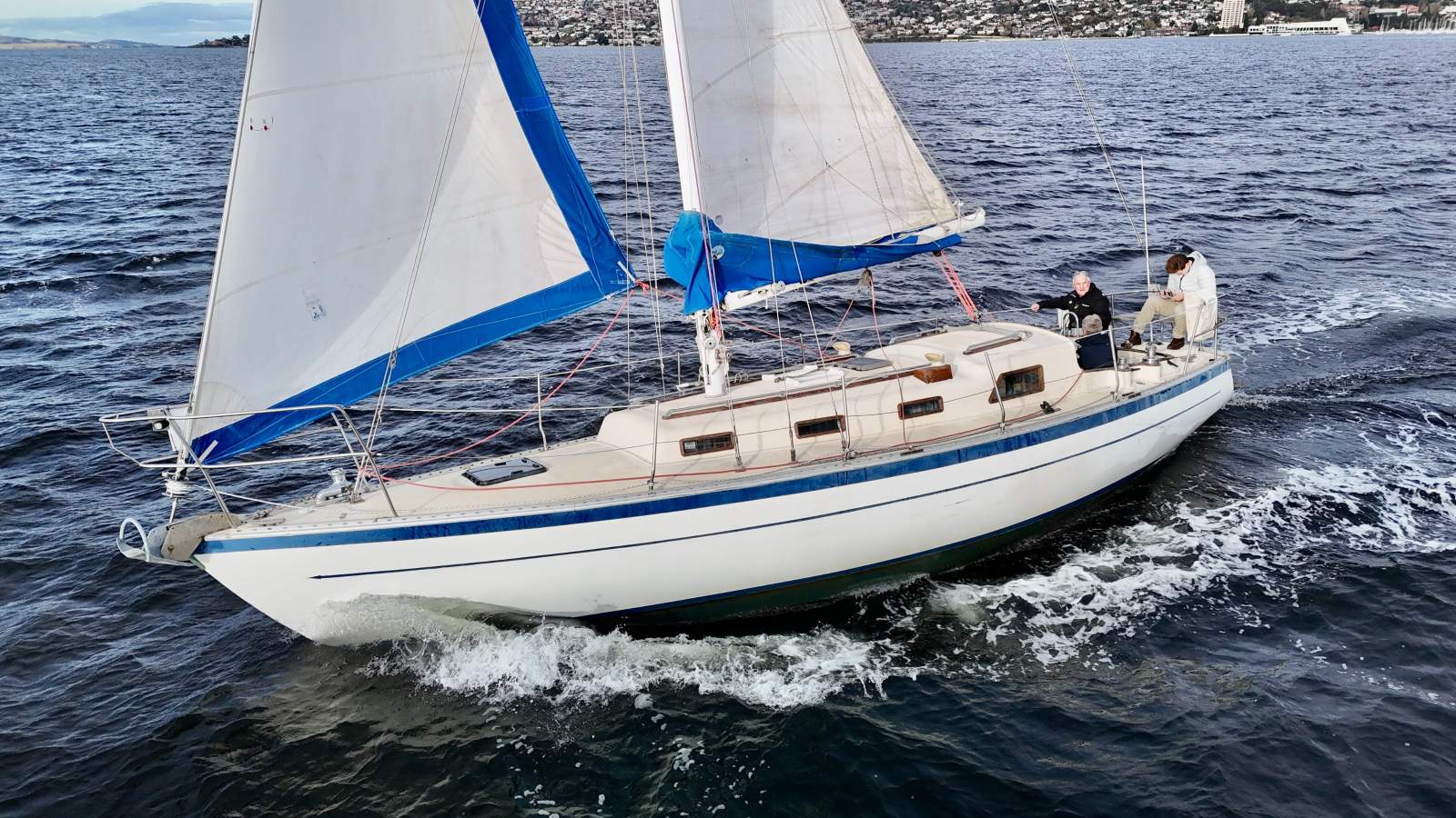 Swanson 36
