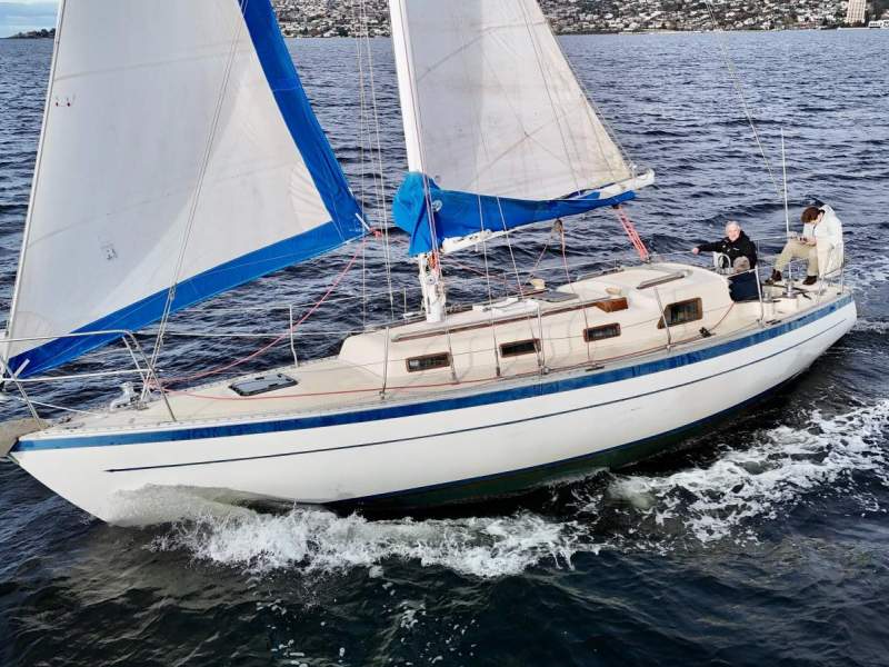 Swanson 36