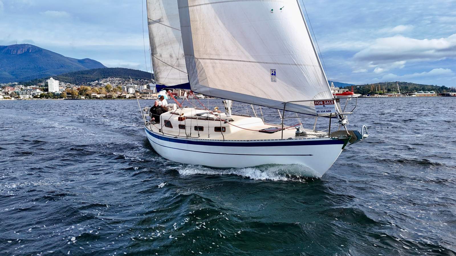 Swanson 36