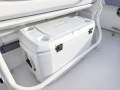 Robalo R242