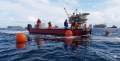 Stalwart Marine WB7400X Aluminium Work Boat Punt