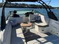Sea Ray 250 SDX OB