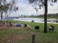 Noosa Marine Noosa 620