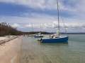 Noosa Marine Noosa 620
