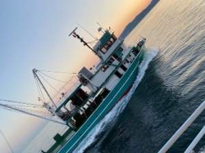 28.8m Purse Seine Fishing Vessel