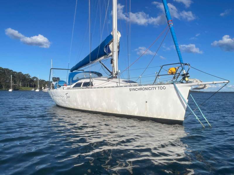 Simonis Fast 42