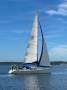 Simonis Fast 42