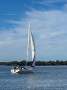 Simonis Fast 42