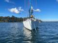 Simonis Fast 42