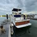 Ocean 40 Flybridge