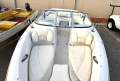 Tahoe Q4 BOWRIDER PROJECT BOAT
