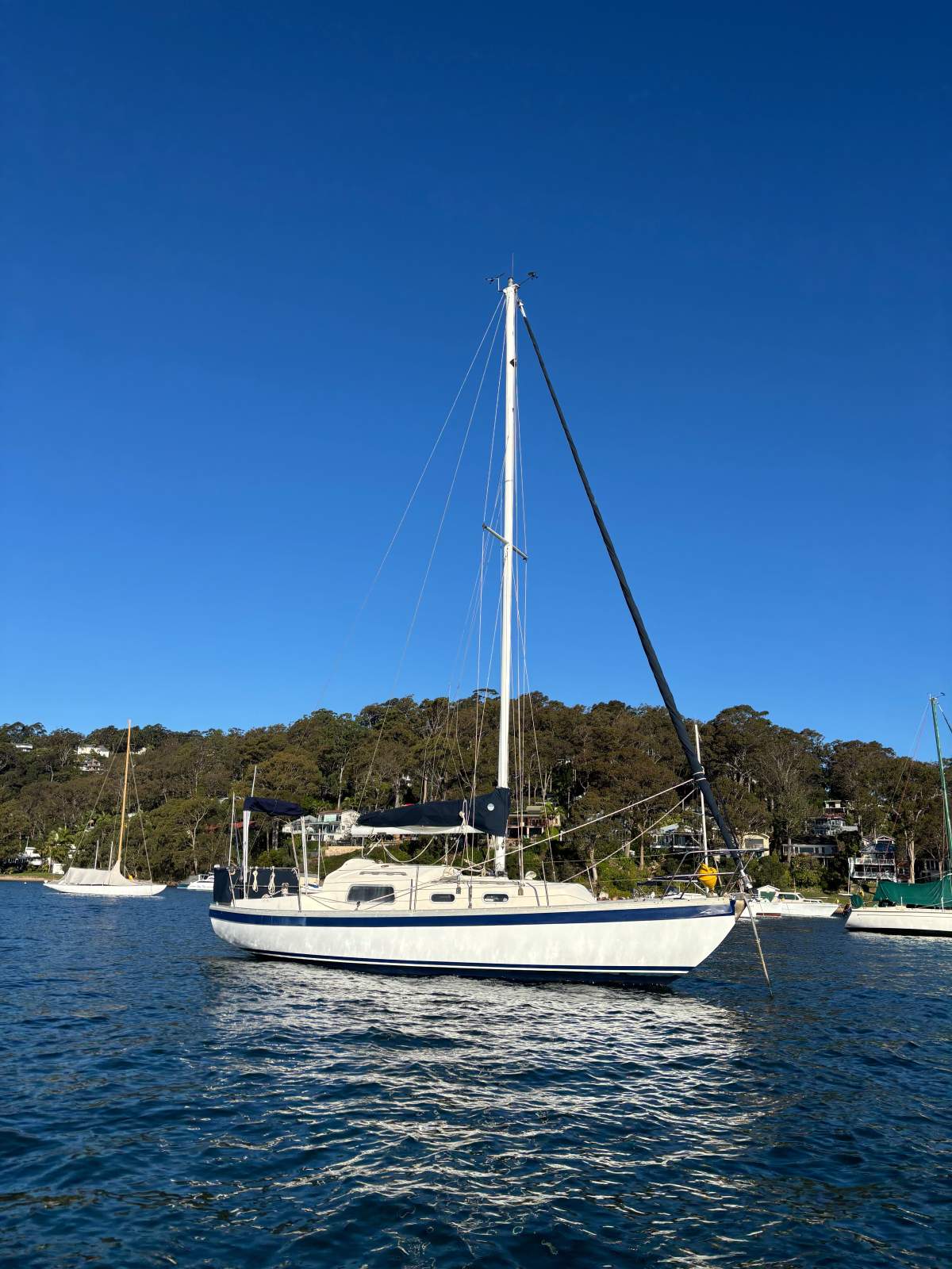 Compass Yachts 29