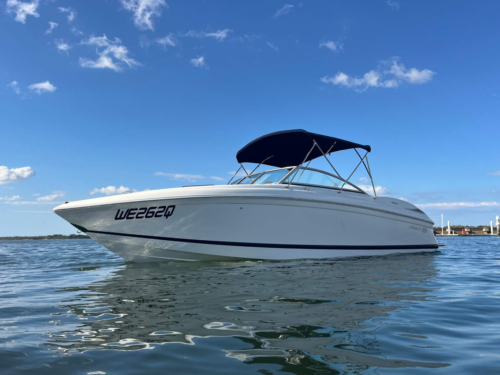 Cobalt 262