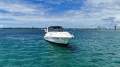 Riviera M290 Sports Cruiser