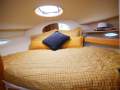 Riviera M290 Sports Cruiser