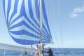 Wauquiez Amphitrite 45 MS