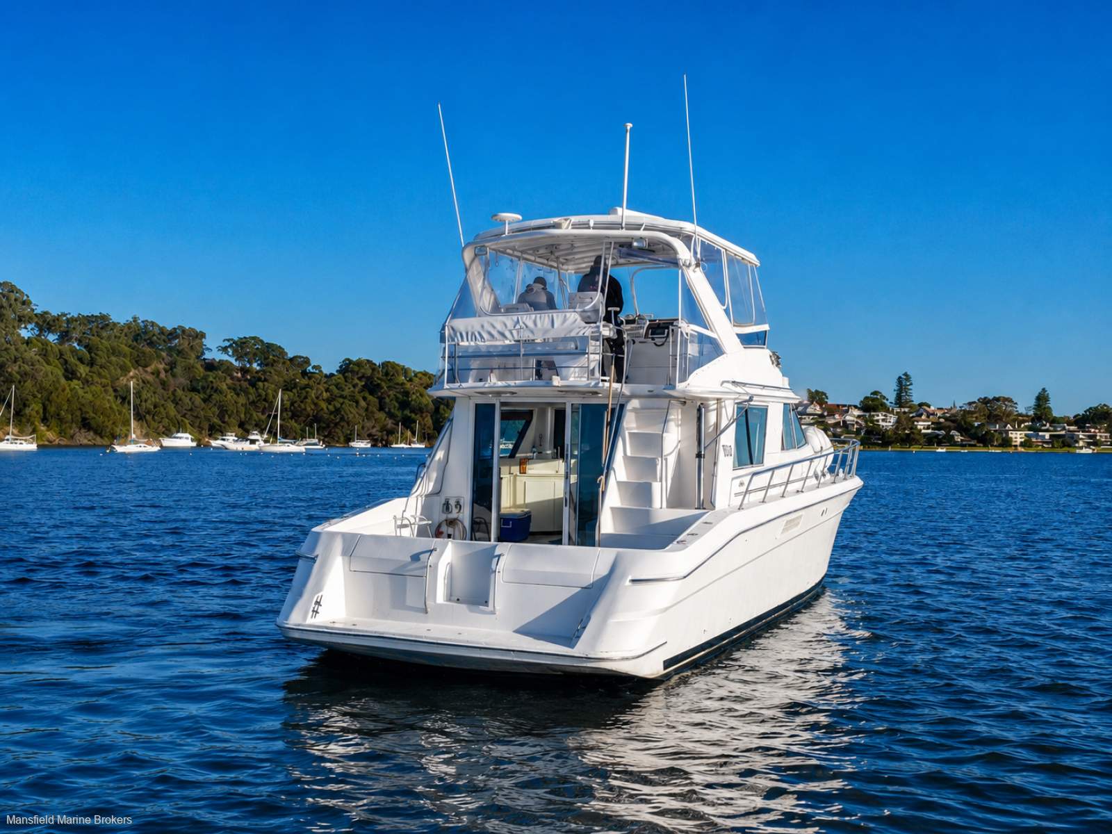 Sea Ray 550 Sedan Bridge