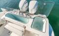 Sea Fox 328 Commander