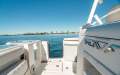 Sea Fox 328 Commander