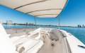 Sea Fox 328 Commander