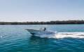 Sea Fox 328 Commander