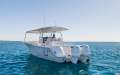 Sea Fox 328 Commander