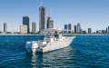 Sea Fox 328 Commander