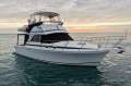 Caribbean 35 Flybridge Cruiser (Cummins 330hp diesels)