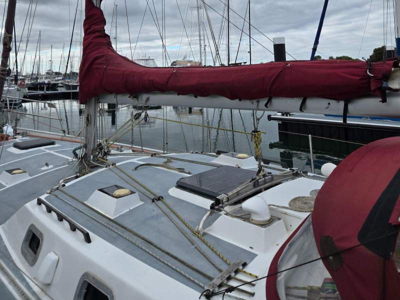 Adams 40