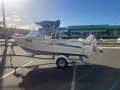 Savage 435 Bay Cruiser Boat, Motor, Trailer Package